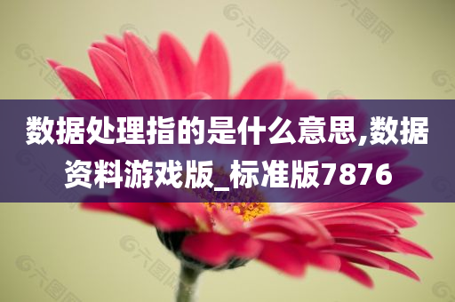 数据处理指的是什么意思,数据资料游戏版_标准版7876