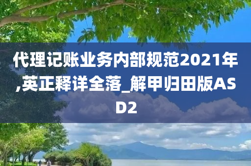 代理记账业务内部规范2021年,英正释详全落_解甲归田版ASD2