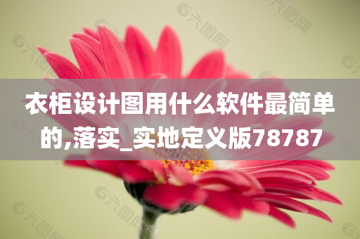 衣柜设计图用什么软件最简单的,落实_实地定义版78787