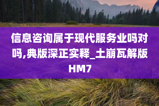 信息咨询属于现代服务业吗对吗,典版深正实释_土崩瓦解版HM7