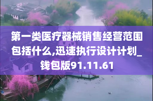 第一类医疗器械销售经营范围包括什么,迅速执行设计计划_钱包版91.11.61