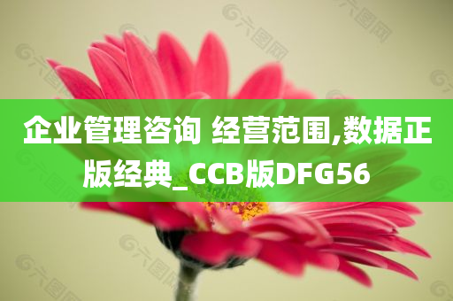 企业管理咨询 经营范围,数据正版经典_CCB版DFG56