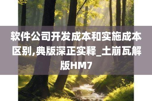 软件公司开发成本和实施成本区别,典版深正实释_土崩瓦解版HM7