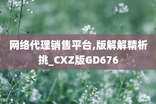 网络代理销售平台,版解解精析挑_CXZ版GD676