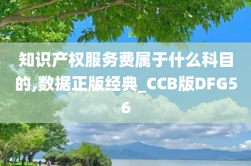 知识产权服务费属于什么科目的,数据正版经典_CCB版DFG56