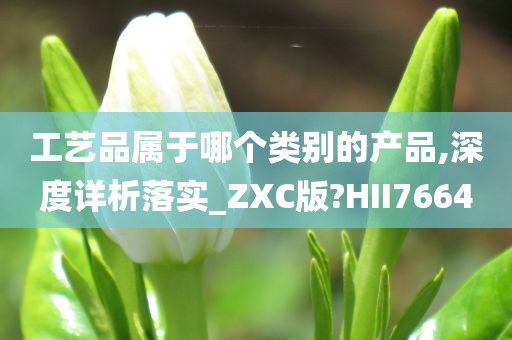 工艺品属于哪个类别的产品,深度详析落实_ZXC版?HII7664