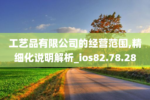 工艺品有限公司的经营范围,精细化说明解析_ios82.78.28