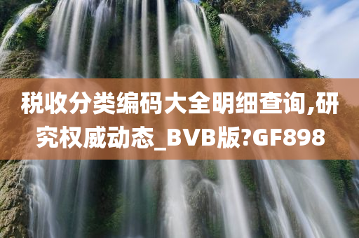 税收分类编码大全明细查询,研究权威动态_BVB版?GF898