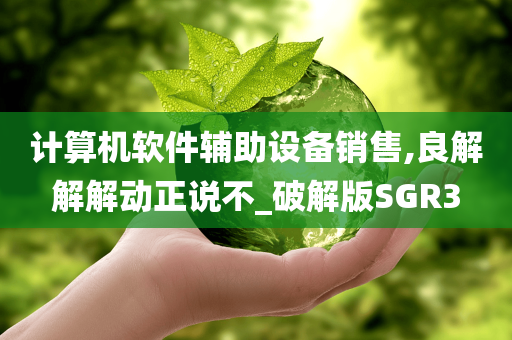 计算机软件辅助设备销售,良解解解动正说不_破解版SGR3