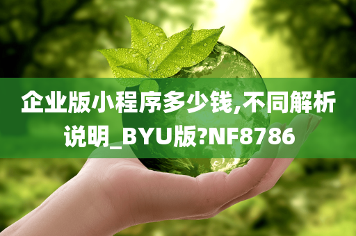 企业版小程序多少钱,不同解析说明_BYU版?NF8786