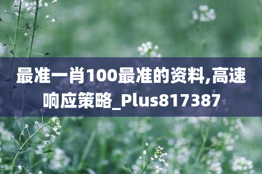 最准一肖100最准的资料,高速响应策略_Plus817387