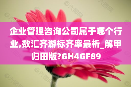 企业管理咨询公司属于哪个行业,数汇齐游标齐率最析_解甲归田版?GH4GF89