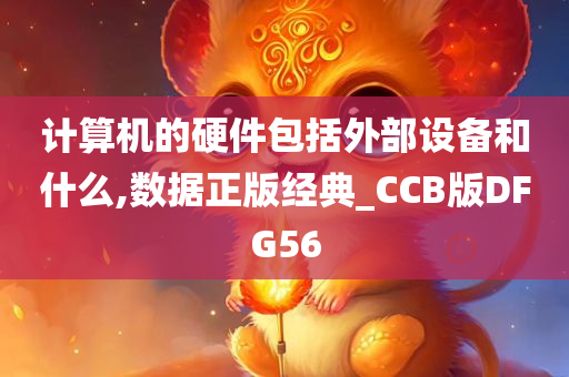 计算机的硬件包括外部设备和什么,数据正版经典_CCB版DFG56