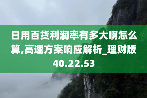 日用百货利润率有多大啊怎么算,高速方案响应解析_理财版40.22.53