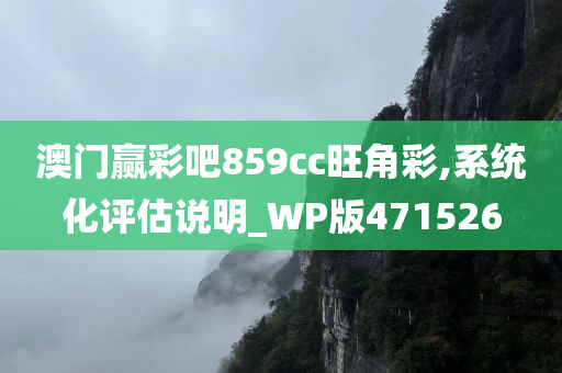 澳门赢彩吧859cc旺角彩,系统化评估说明_WP版471526