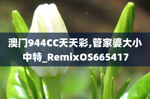 澳门944CC天天彩,管家婆大小中特_RemixOS665417