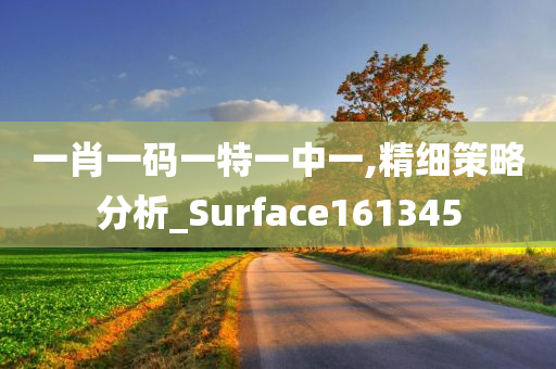 一肖一码一特一中一,精细策略分析_Surface161345