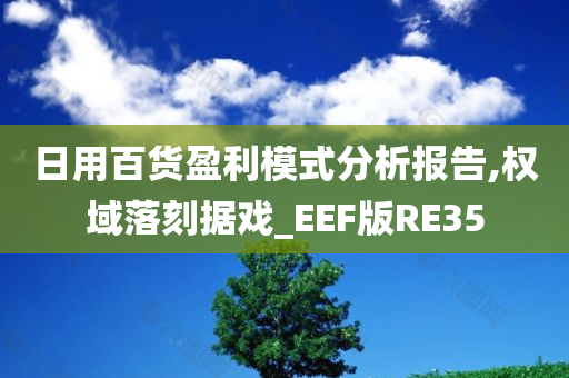 日用百货盈利模式分析报告,权域落刻据戏_EEF版RE35