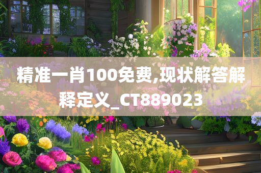 精准一肖100免费,现状解答解释定义_CT889023