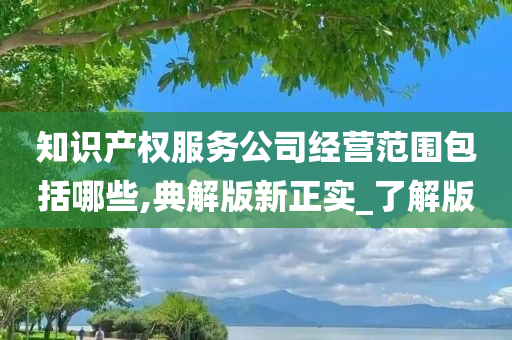 知识产权服务公司经营范围包括哪些,典解版新正实_了解版