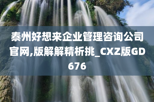 泰州好想来企业管理咨询公司官网,版解解精析挑_CXZ版GD676