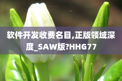 软件开发收费名目,正版领域深度_SAW版?HHG77