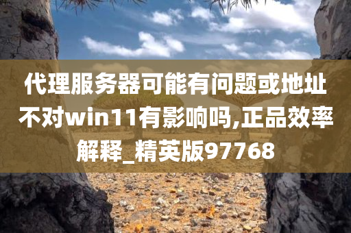 代理服务器可能有问题或地址不对win11有影响吗,正品效率解释_精英版97768