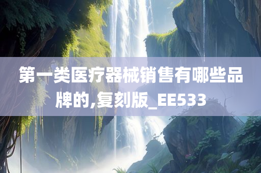 第一类医疗器械销售有哪些品牌的,复刻版_EE533