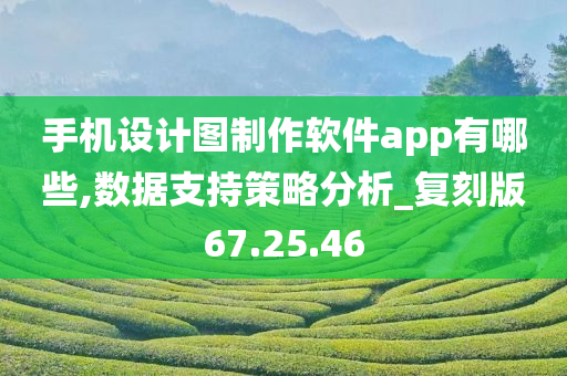 手机设计图制作软件app有哪些,数据支持策略分析_复刻版67.25.46