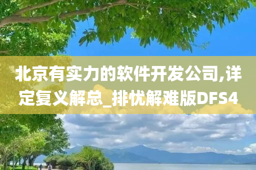 北京有实力的软件开发公司,详定复义解总_排忧解难版DFS4