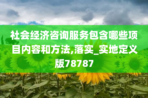 社会经济咨询服务包含哪些项目内容和方法,落实_实地定义版78787