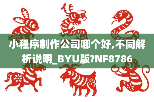 小程序制作公司哪个好,不同解析说明_BYU版?NF8786