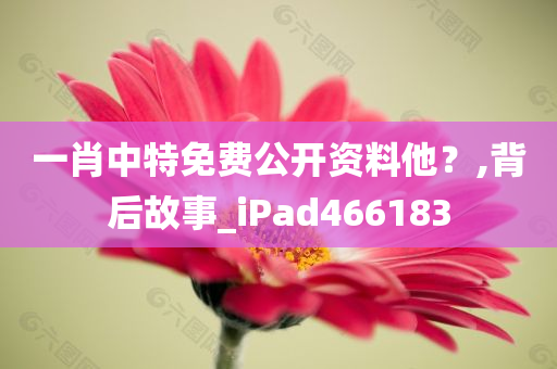 一肖中特免费公开资料他？,背后故事_iPad466183