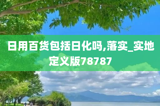 日用百货包括日化吗,落实_实地定义版78787