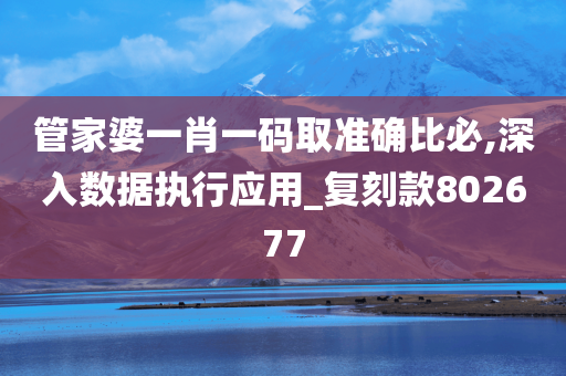 管家婆一肖一码取准确比必,深入数据执行应用_复刻款802677