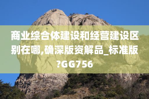 商业综合体建设和经营建设区别在哪,确深版资解品_标准版?GG756