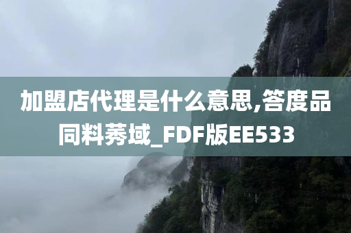 加盟店代理是什么意思,答度品同料莠域_FDF版EE533