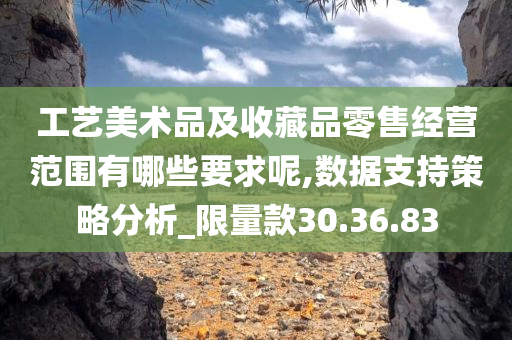 工艺美术品及收藏品零售经营范围有哪些要求呢,数据支持策略分析_限量款30.36.83