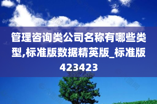 管理咨询类公司名称有哪些类型,标准版数据精英版_标准版423423