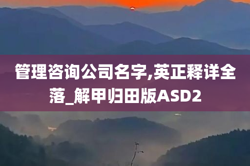 管理咨询公司名字,英正释详全落_解甲归田版ASD2