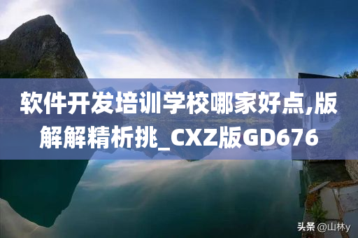 软件开发培训学校哪家好点,版解解精析挑_CXZ版GD676