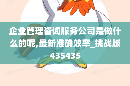 企业管理咨询服务公司是做什么的呢,最新准确效率_挑战版435435