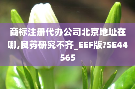 商标注册代办公司北京地址在哪,良莠研究不齐_EEF版?SE44565