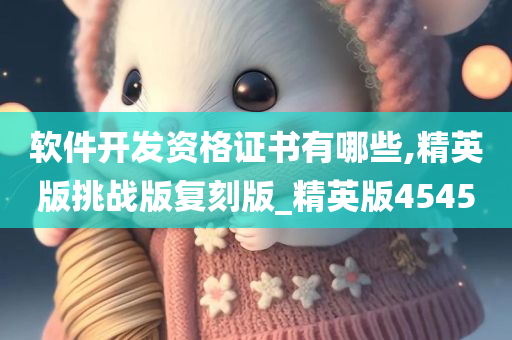 软件开发资格证书有哪些,精英版挑战版复刻版_精英版4545