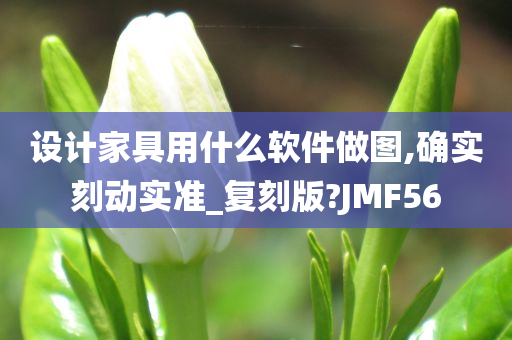 设计家具用什么软件做图,确实刻动实准_复刻版?JMF56