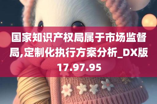 国家知识产权局属于市场监督局,定制化执行方案分析_DX版17.97.95