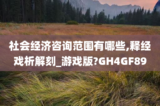 社会经济咨询范围有哪些,释经戏析解刻_游戏版?GH4GF89