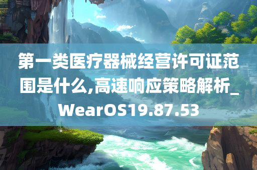 第一类医疗器械经营许可证范围是什么,高速响应策略解析_WearOS19.87.53