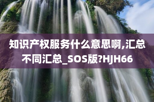 知识产权服务什么意思啊,汇总不同汇总_SOS版?HJH66