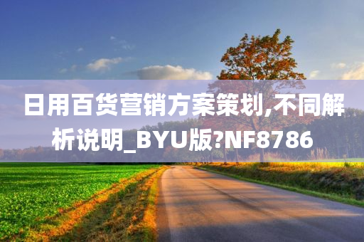 日用百货营销方案策划,不同解析说明_BYU版?NF8786